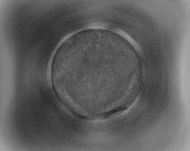 X0000101481240200807281033