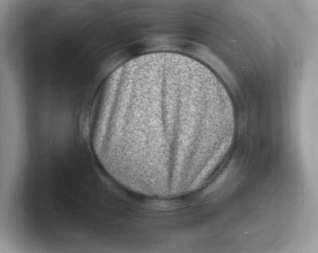 X0000101481241200807281033