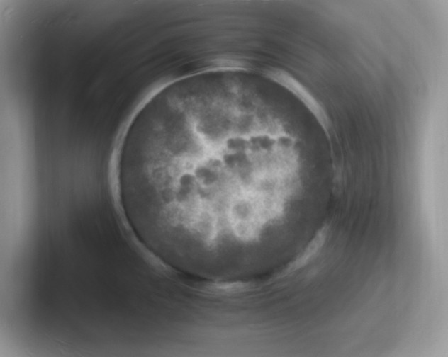 X0000101481243200807281033