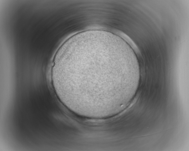 X0000101481244200807281033