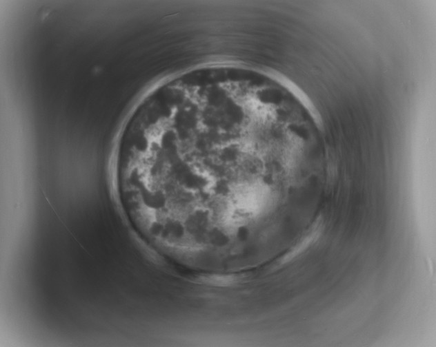 X0000101481245200807281033