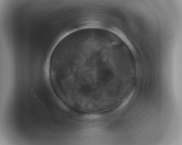 X0000101481246200807281033