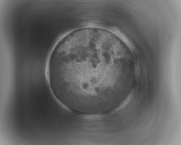 X0000101481247200807281033