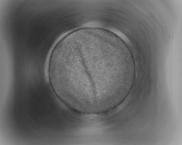 X0000101481248200807281033