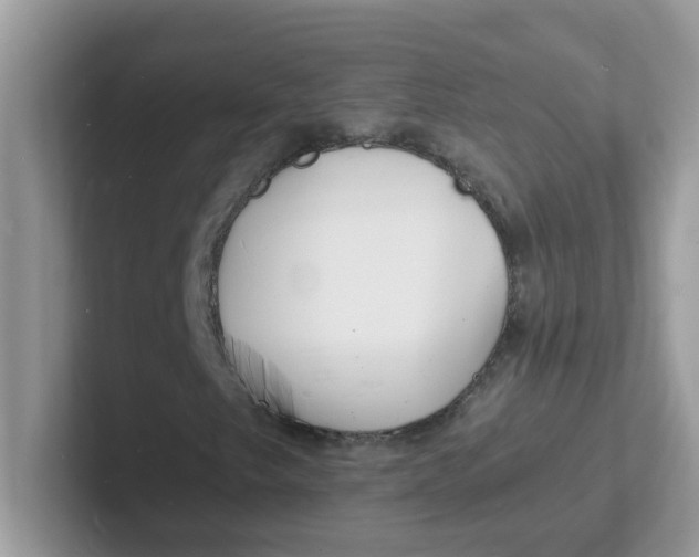 X0000101481249200807281032