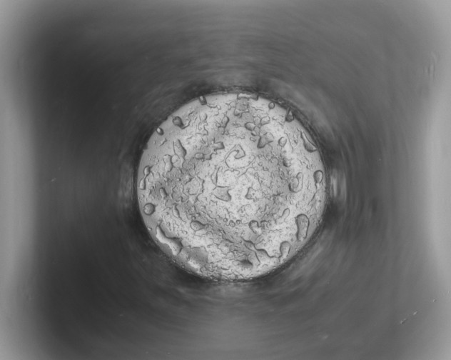 X0000101481251200807281032