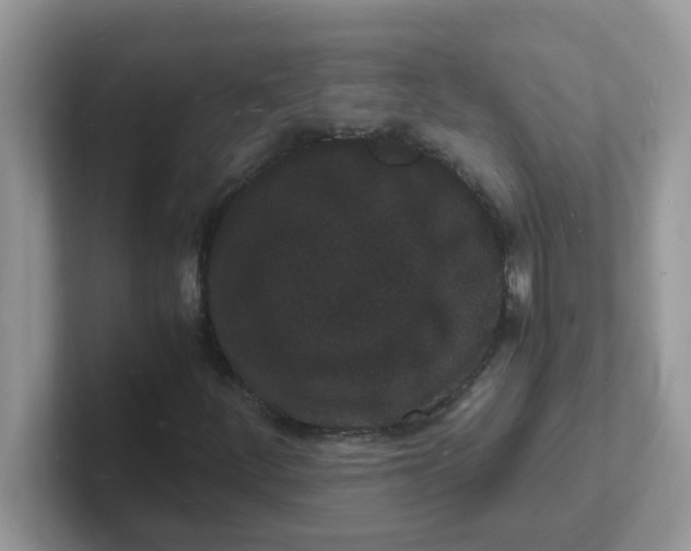 X0000101481252200807281032