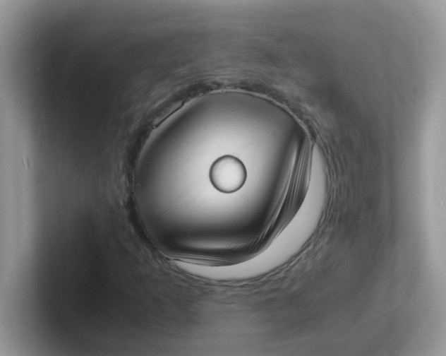 X0000101481253200807281032