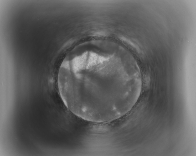 X0000101481254200807281032