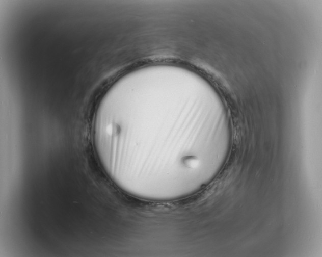 X0000101481255200807281032