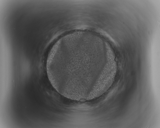 X0000101481256200807281032