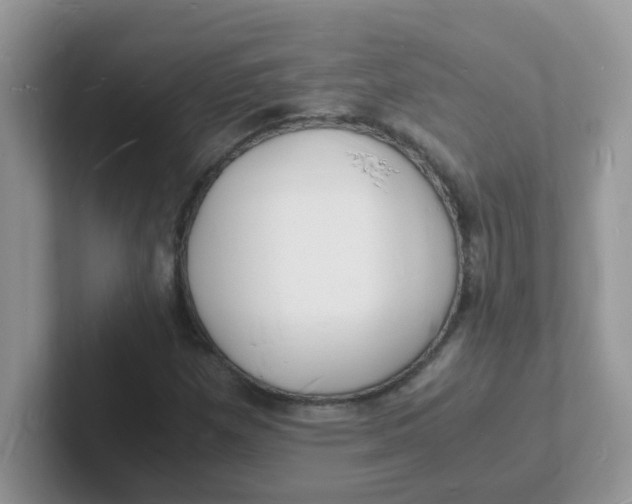 X0000101481257200807281032