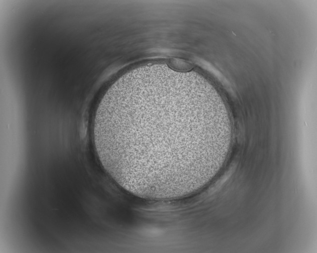 X0000101481259200807281032