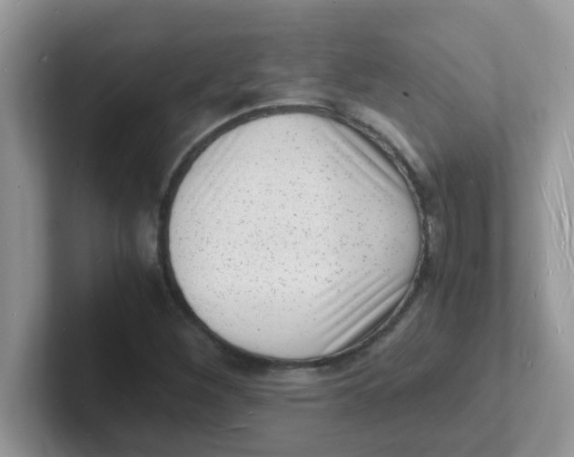 X0000101481260200807281032