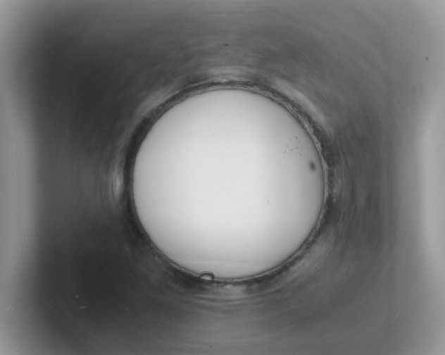 X0000101481261200807281032