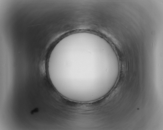 X0000101481262200807281032