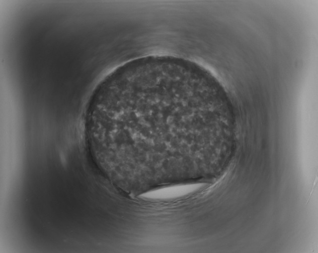 X0000101481263200807281032