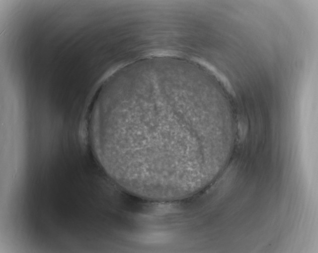 X0000101481266200807281032