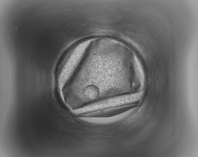 X0000101481267200807281032