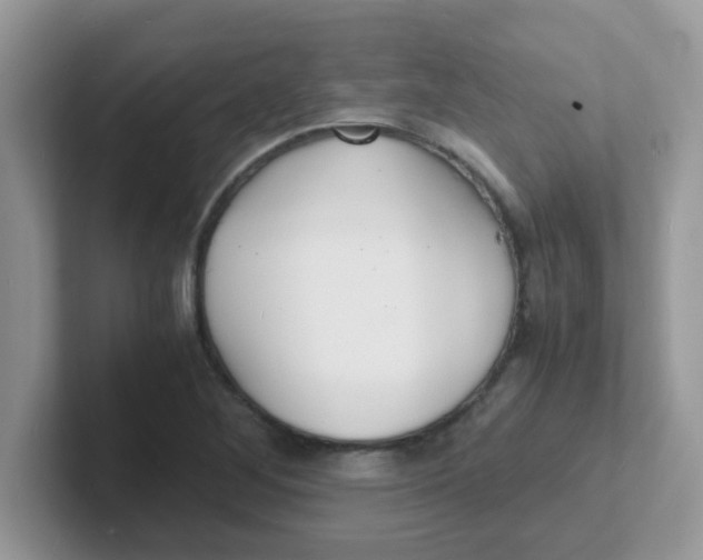 X0000101481268200807281032