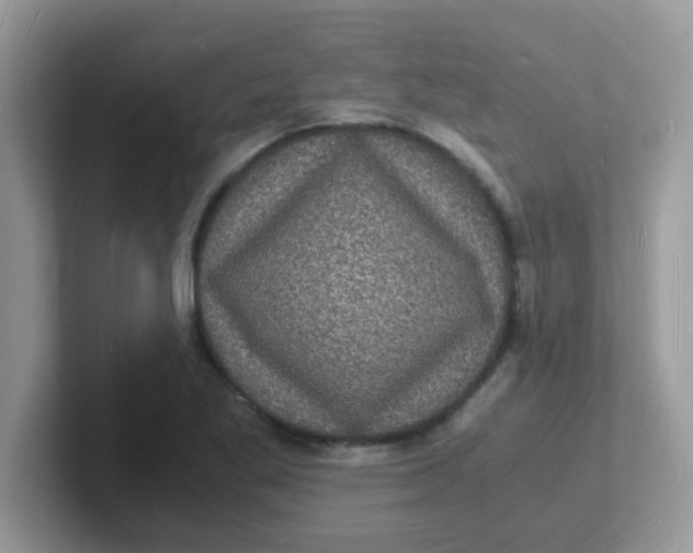 X0000101481269200807281032