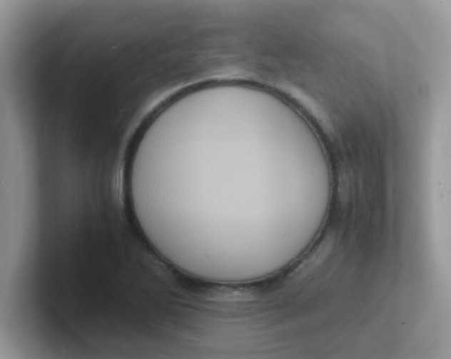 X0000101481270200807281032