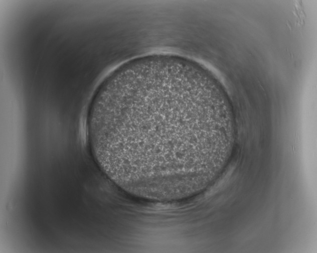 X0000101481271200807281032