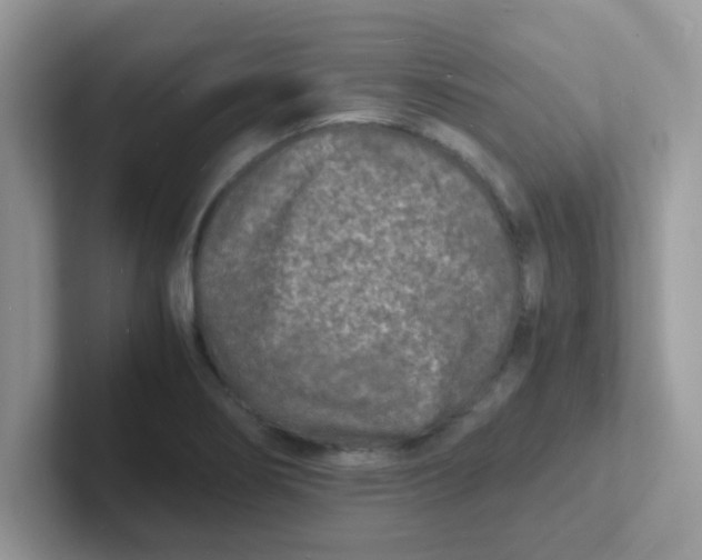 X0000101481274200807281032