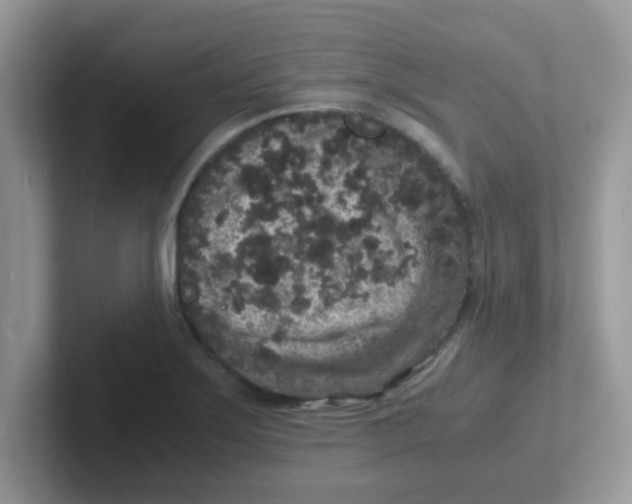 X0000101481275200807281032