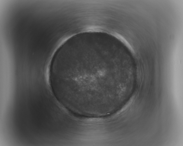 X0000101481277200807281032