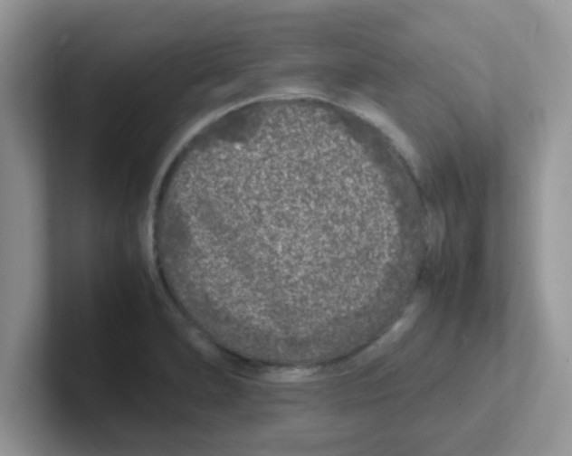 X0000101481278200807281032