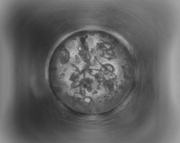 X0000101481279200807281032