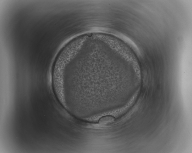 X0000101481280200807281032