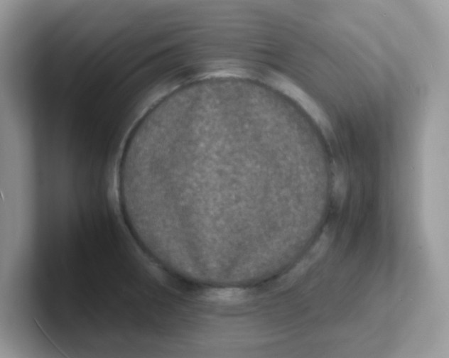 X0000101481282200807281032