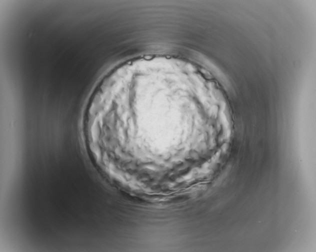 X0000101481283200807281032