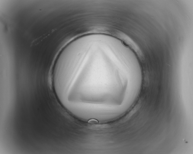 X0000101481284200807281032