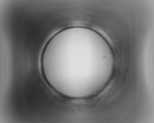 X0000101481285200807281032