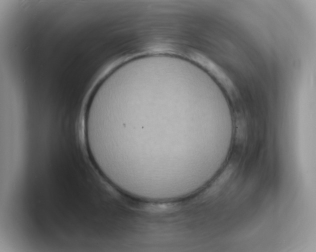 X0000101481286200807281032