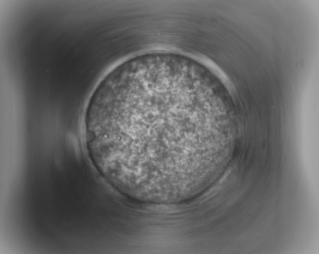 X0000101481287200807281032