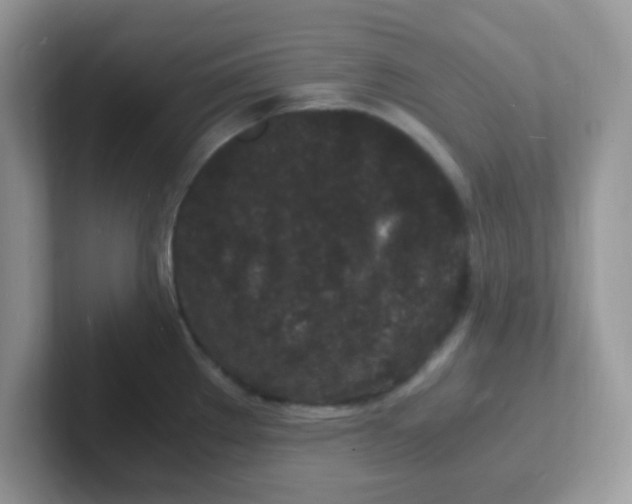 X0000101481289200807281032