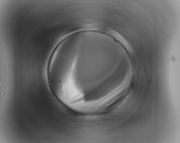 X0000101481291200807281032