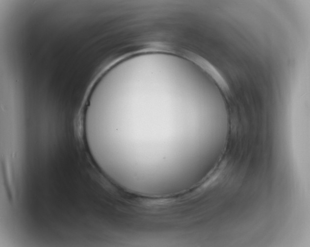 X0000101481292200807281032