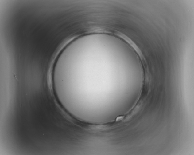 X0000101481293200807281032