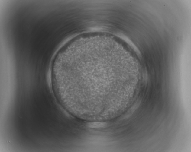 X0000101481294200807281032