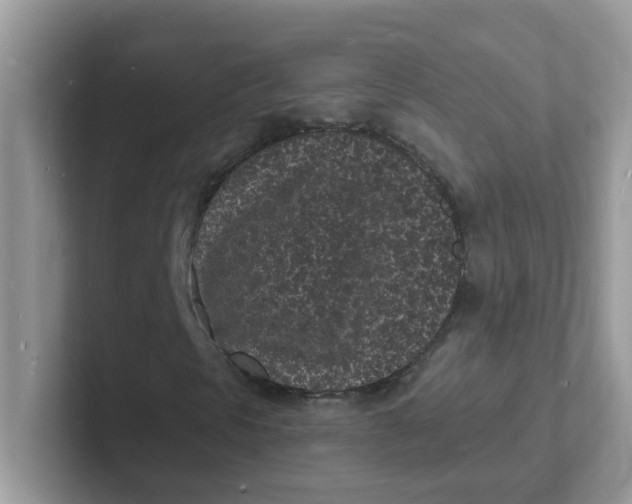 X0000101481297200807281031