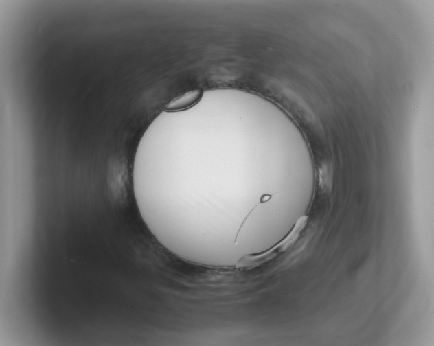 X0000101481299200807281031