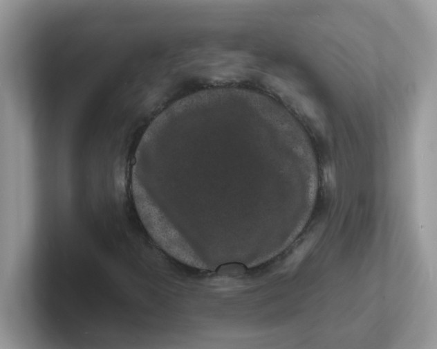 X0000101481300200807281031