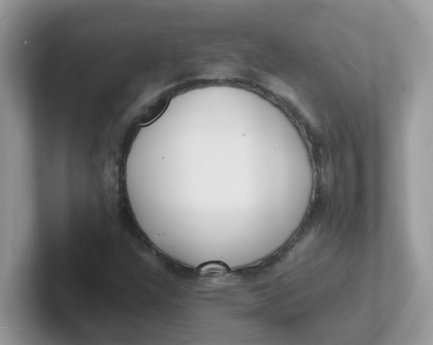 X0000101481304200807281031