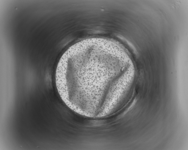 X0000101481305200807281031