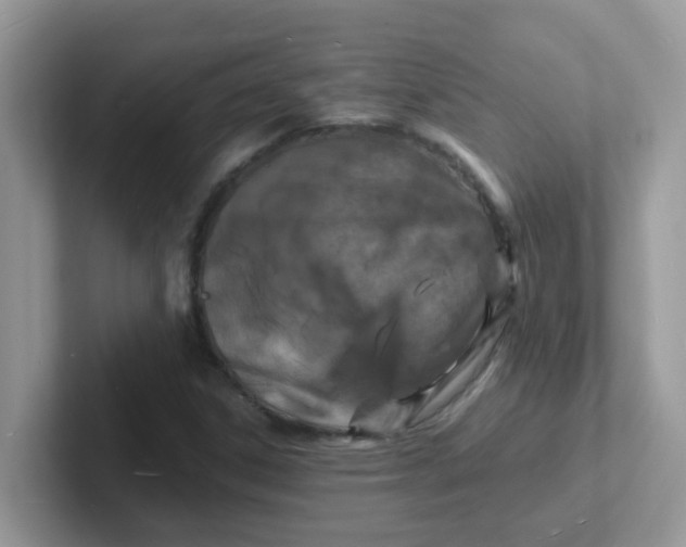 X0000101481306200807281031